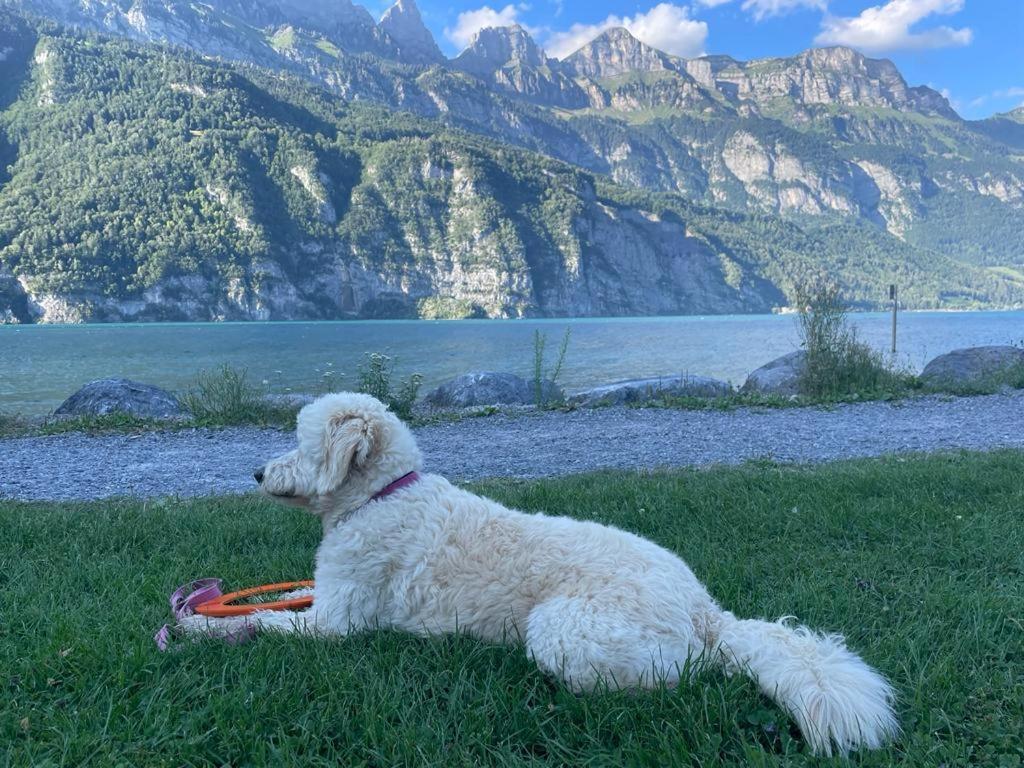 Doodle'S Amazing Chalet -Walensee - Flumserberg - Churfirsten - Heidiland - Pool - Sauna Mols Esterno foto