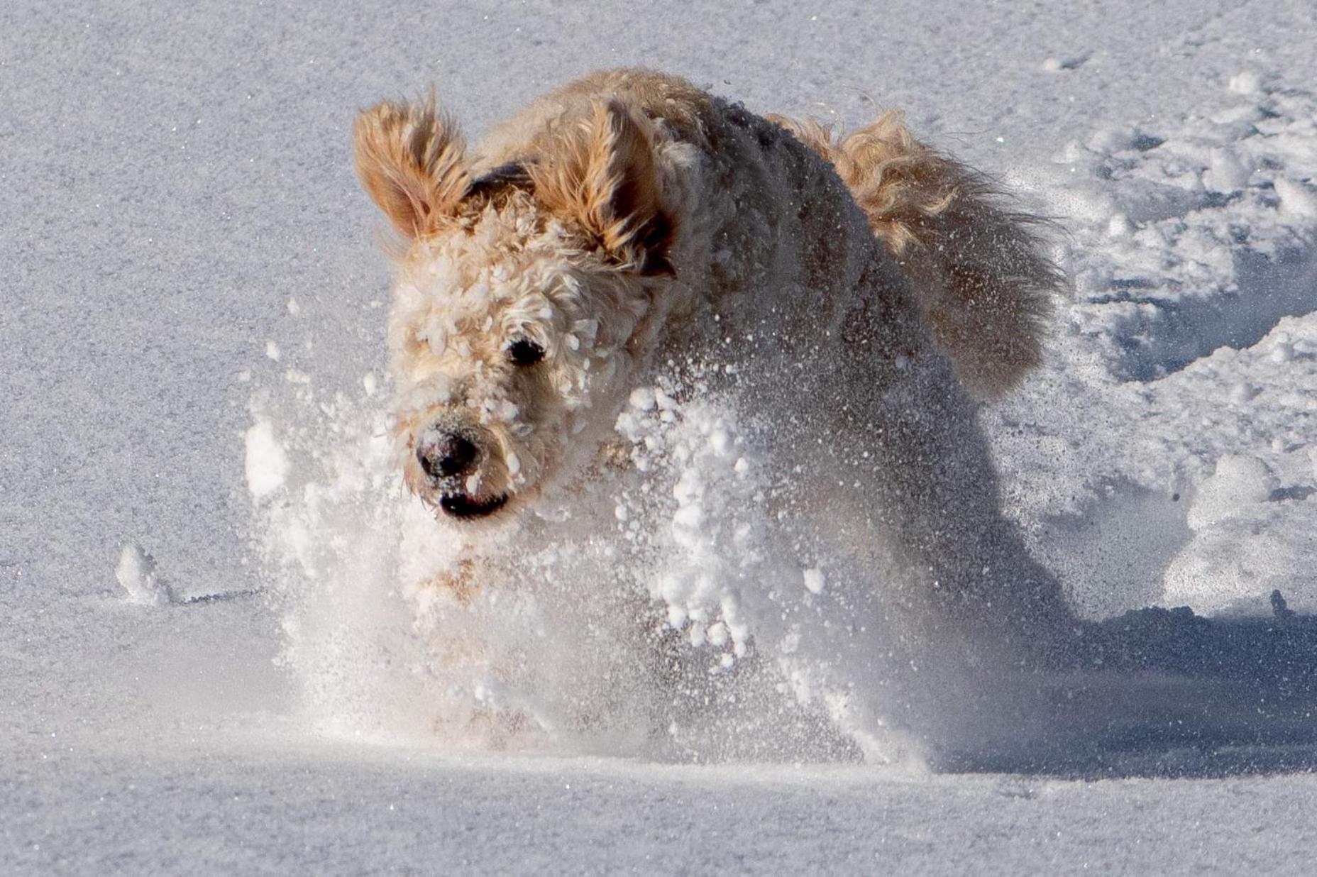 Doodle'S Amazing Chalet -Walensee - Flumserberg - Churfirsten - Heidiland - Pool - Sauna Mols Esterno foto