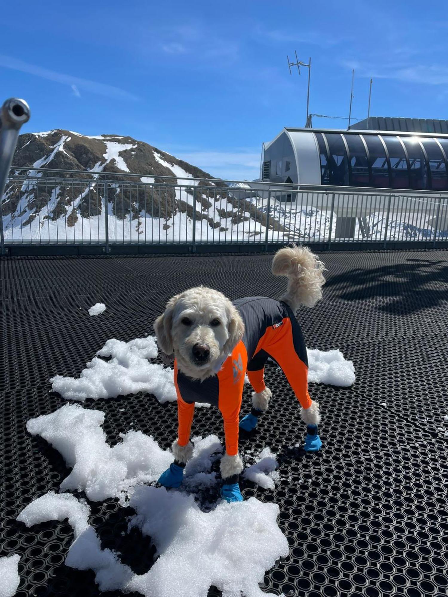 Doodle'S Amazing Chalet -Walensee - Flumserberg - Churfirsten - Heidiland - Pool - Sauna Mols Esterno foto